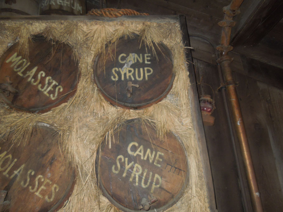 Disneyland Splash Mountain Ride Pictures